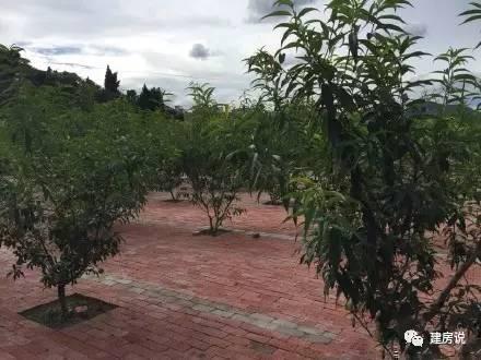 實拍網友自建別墅裝修實景，溫馨十足，幸福感爆棚