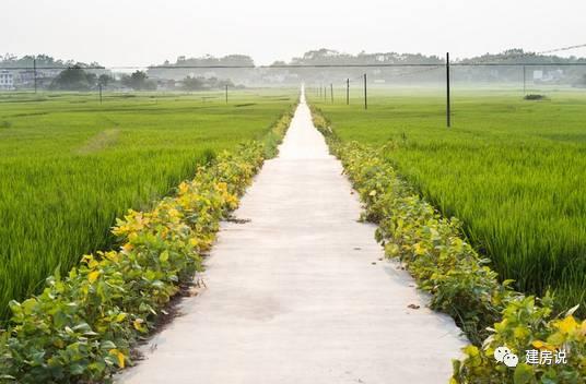 我在農村蓋的不是房