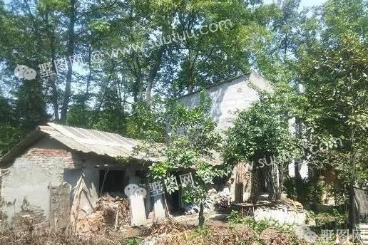 中式情懷大別墅，這樣的裝飾碉堡了！