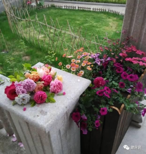 蘇州網(wǎng)友曬三層農(nóng)村別墅，帶洋氣花園很有格局