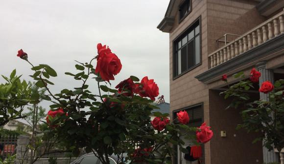 曬曬婆家幫我準備的新房，花了80幾萬，閨蜜羨慕的不行