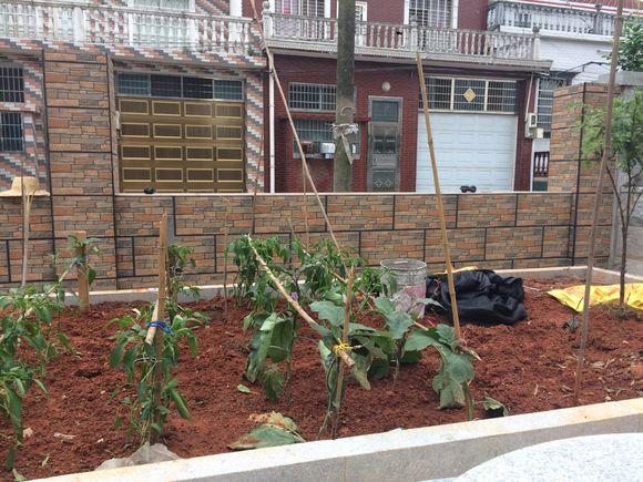 曬曬婆家幫我準備的新房，花了80幾萬，閨蜜羨慕的不行