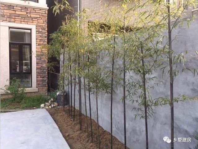 帶亭子的二層農村自建房，附完工照和室內裝修圖