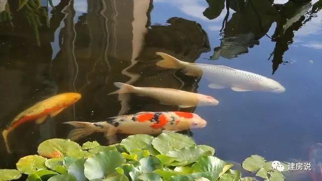 看完這棟自建別墅才知道什么叫有品味，什么叫會享受生活