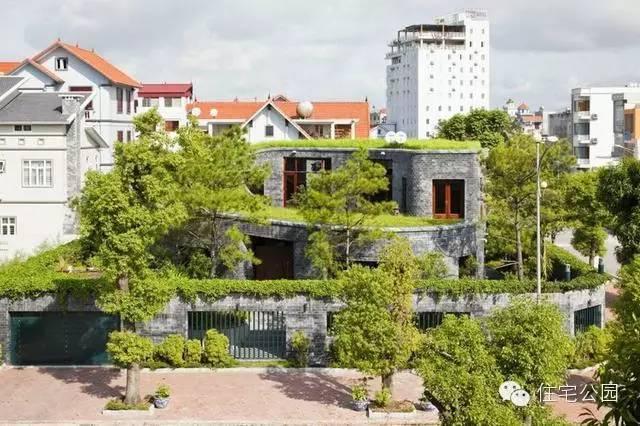 別墅 | 自建房別墅做成這樣也是絕了，滿眼的綠色！