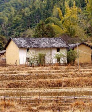 努力賺錢，為給爸媽一個養老的地方，農村小伙18萬為父母建別墅！