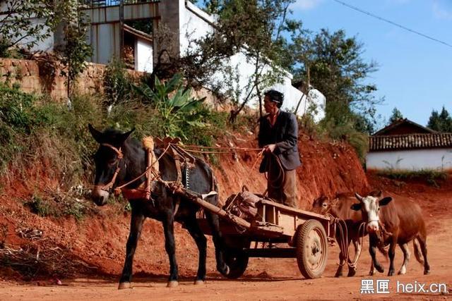 他為90后農民蓋別墅，看房還可以用VR