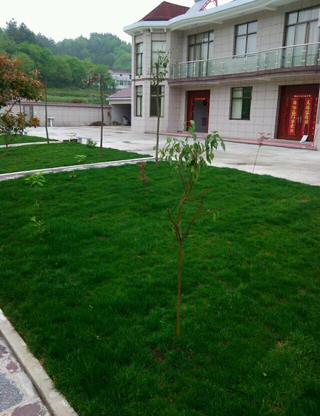 曬曬公公花100多萬的農(nóng)村小別墅，最喜歡院子里的草坪和大魚池！