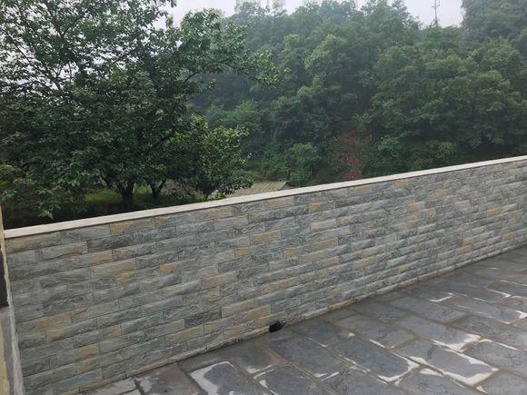 曬曬剛蓋好鄉村小別墅，找老婆就靠它了