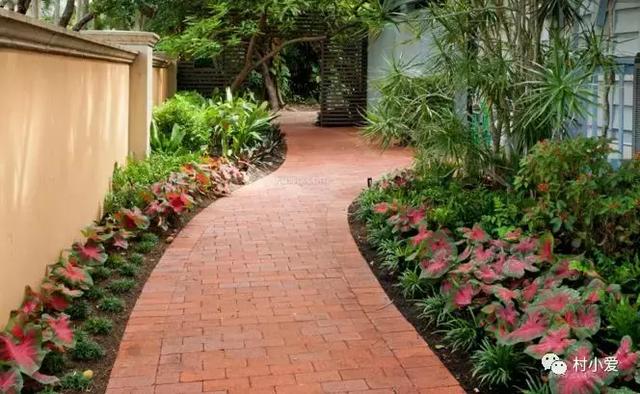 兄弟倆回家鄉自建雙拼別墅，有車庫有庭院，看完不信你不贊