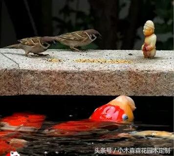 別墅花園之魚池設計