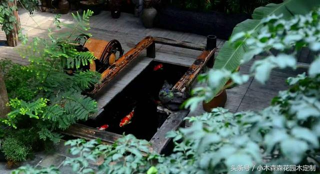 別墅花園之魚池設計