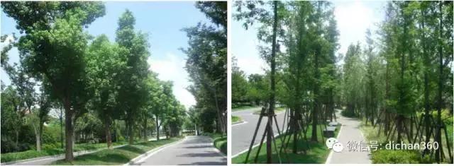 綠城別墅項(xiàng)目景觀設(shè)計(jì)手法（全套）