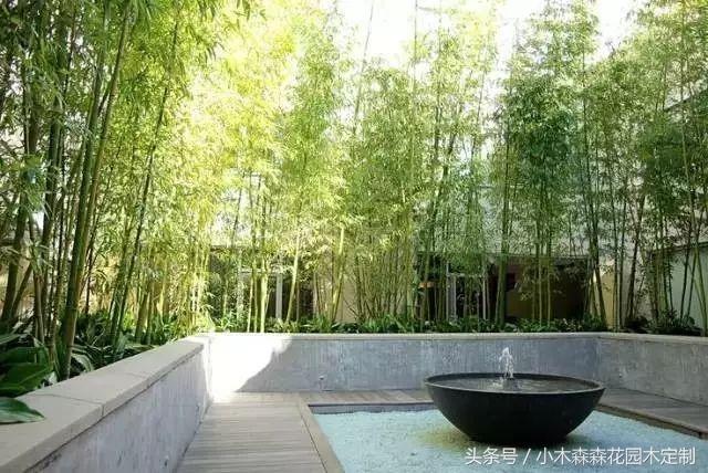 2026新歐式極簡主義別墅花園