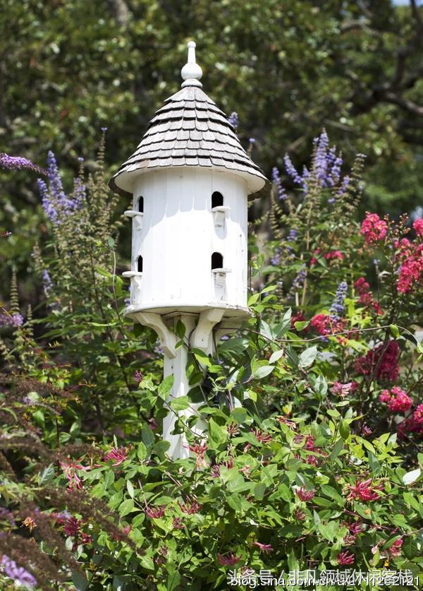 鄉(xiāng)村小別墅的風(fēng)景