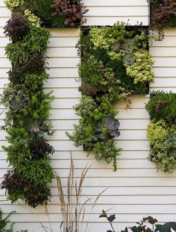 別墅景墻設計，多姿多彩