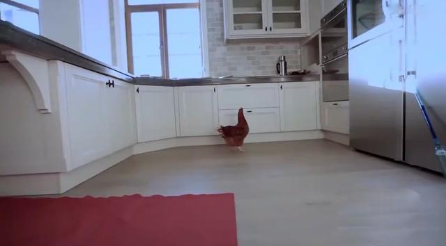 董潔的三層獨(dú)棟小別墅，低調(diào)而溫馨，價(jià)值四千萬