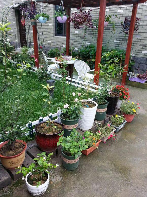 11.5X10.1米農村別墅設計圖，布局實用，造價經濟！