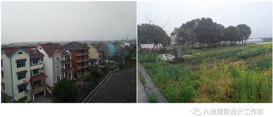 奇！房主稱它為“元寶樓”，它卻綠枝不斷四時春