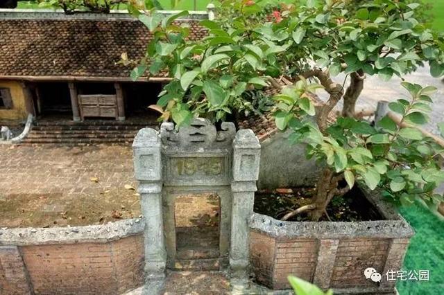 1000元買的農家小院，有樹有水有大瓦房，值么？