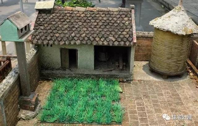 1000元買的農家小院，有樹有水有大瓦房，值么？