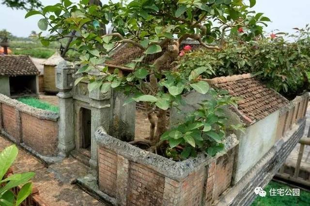 1000元買的農家小院，有樹有水有大瓦房，值么？