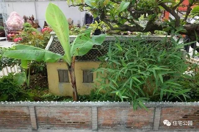 1000元買的農家小院，有樹有水有大瓦房，值么？