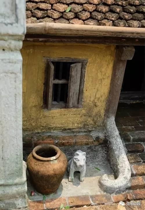 1000元買的農家小院，有樹有水有大瓦房，值么？