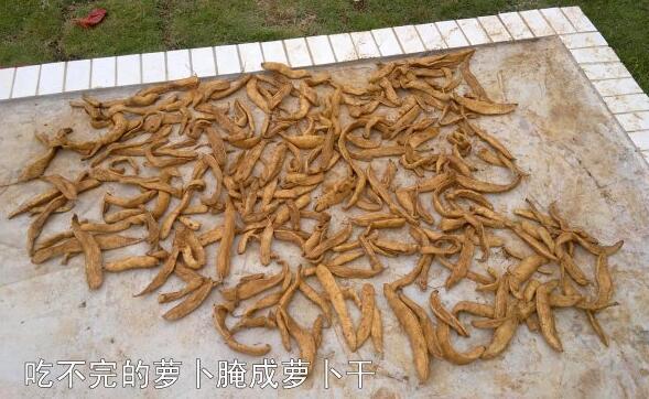 粵西網(wǎng)友建房記錄，讓本想在城里買房的都心動了，改回鄉(xiāng)去建房了