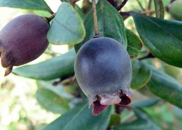 粵西網(wǎng)友建房記錄，讓本想在城里買房的都心動了，改回鄉(xiāng)去建房了