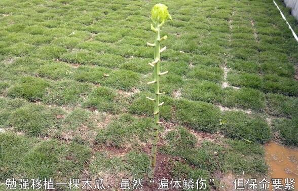 粵西網(wǎng)友建房記錄，讓本想在城里買房的都心動了，改回鄉(xiāng)去建房了