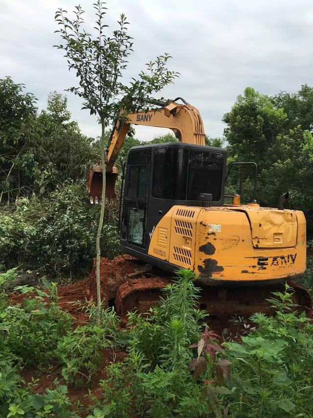 11.5米×10.5米自建小別墅建成，終于實現父母多年的心愿