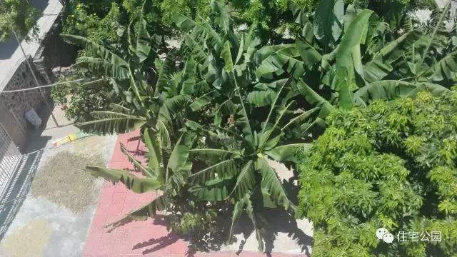 海南三層別墅，只為這片云一切都值了！