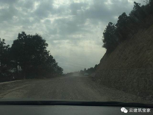 寶家小菜鳥奇遇記，我的第一次就這樣獻給了