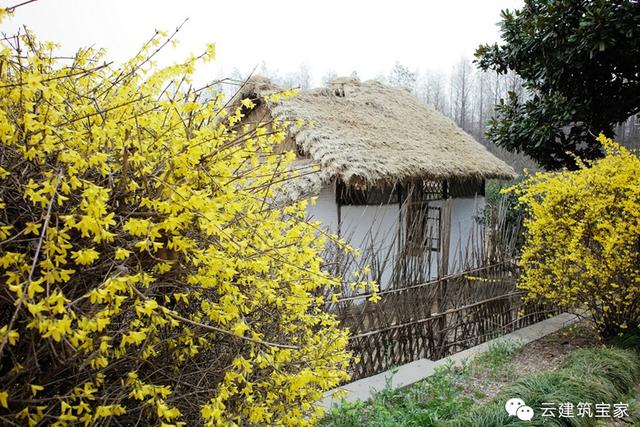 寶家小菜鳥奇遇記，我的第一次就這樣獻給了
