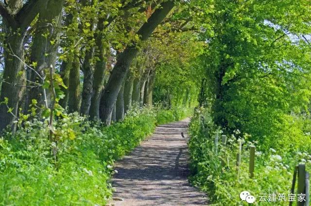 田園風景房，未來舒適生活的新標桿