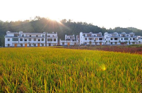 自建房不得超過3層！江西贛州就農(nóng)村自建房管理辦法對外征求意見