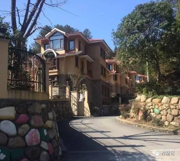 實拍10款農村建的別墅，隨便一套都能讓你在村里挺直腰桿