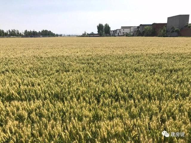 美如畫(huà)，網(wǎng)友在農(nóng)村建造的獨(dú)門小別墅，出門就是田園風(fēng)光