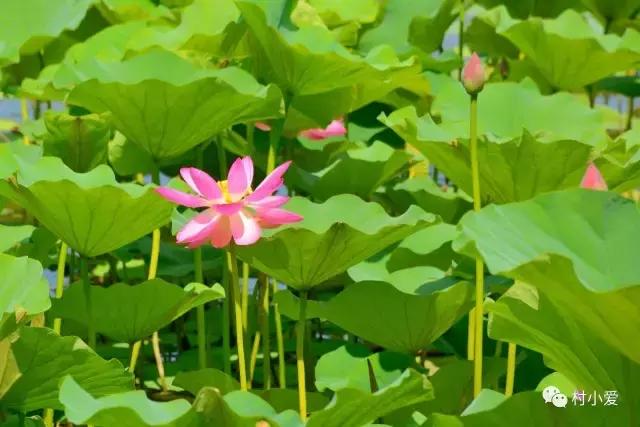 免費帶你游覽京郊最美的法國格拉斯小鎮