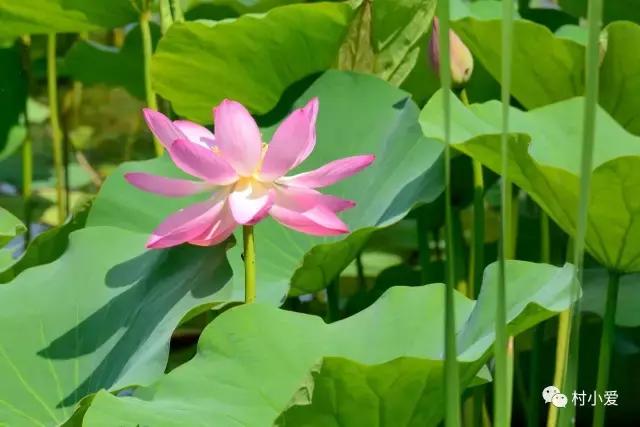 免費帶你游覽京郊最美的法國格拉斯小鎮