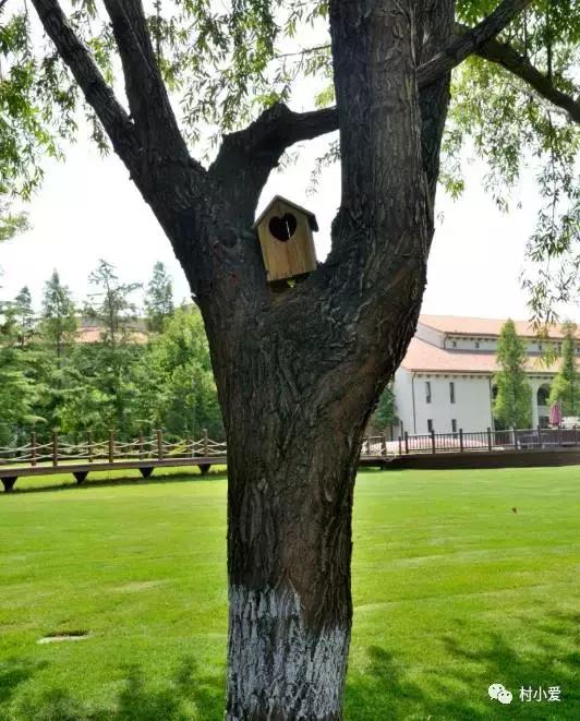 免費帶你游覽京郊最美的法國格拉斯小鎮