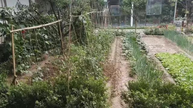 京郊的田園庭院，您也可以擁有
