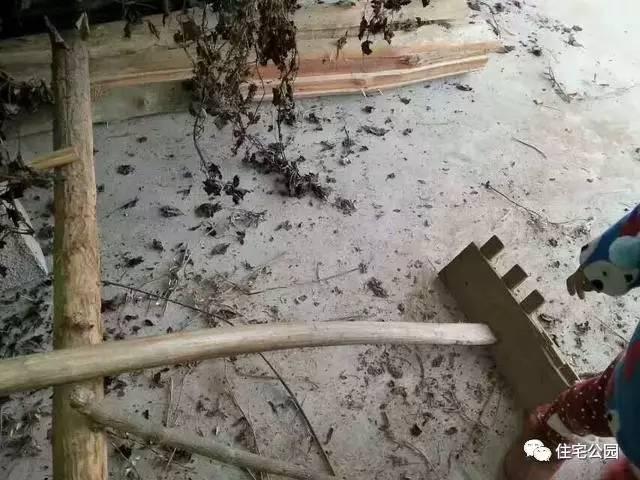 重慶蓋房直播，房主充當小工親自上陣，建成36萬引全村圍觀！