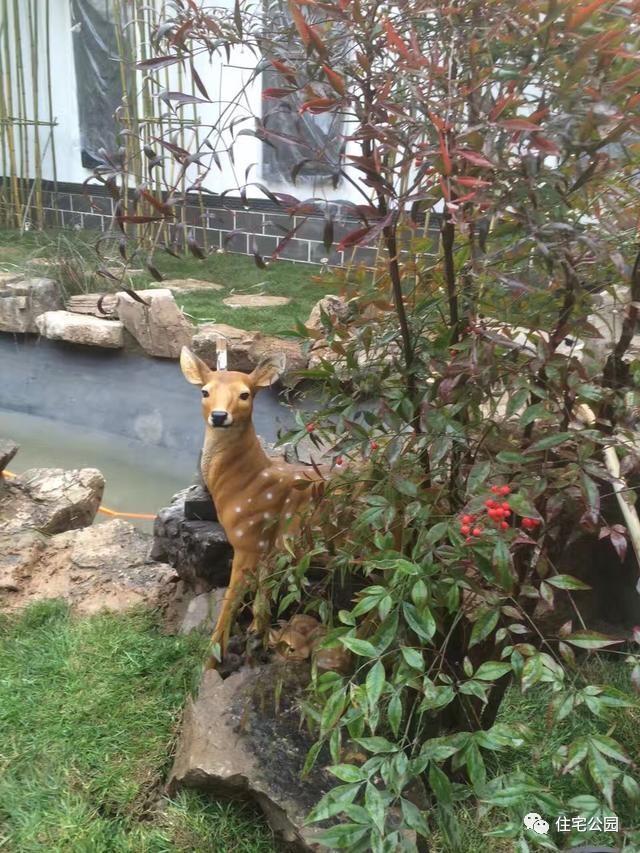 200平庭院改造，破舊空地?fù)u身一變園林美景，23萬(wàn)就能搞定？
