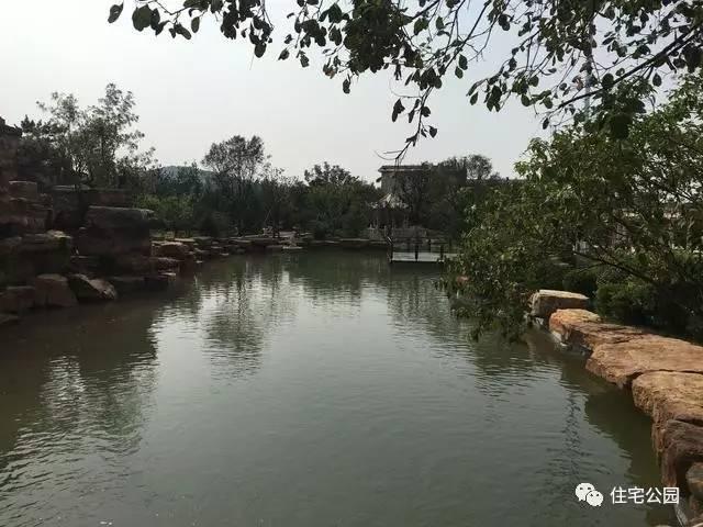 山東豪擲500萬自建園林美景，故宮后花園都不能與之匹敵！