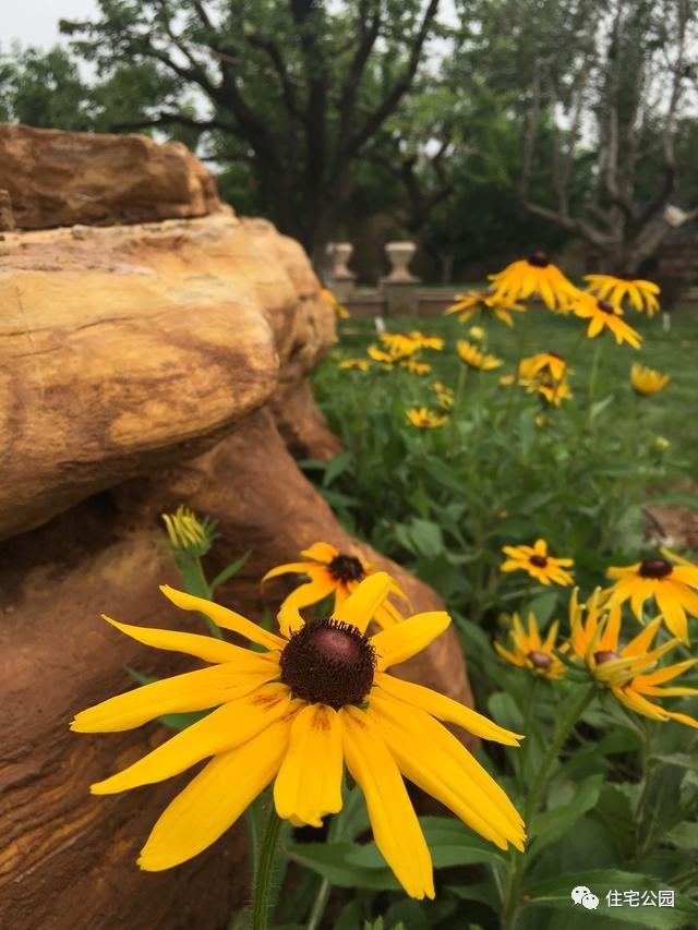 山東豪擲500萬自建園林美景，故宮后花園都不能與之匹敵！