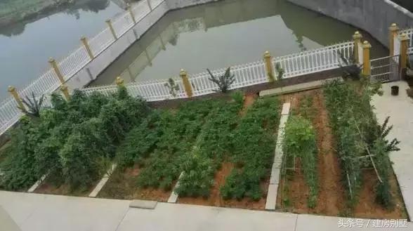 湖南80后帶媳婦回家蓋起農村別墅，從此過上“地主”般的生活