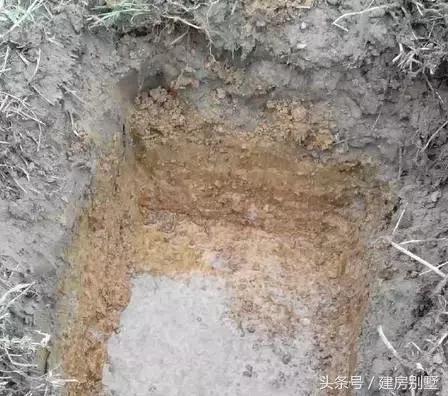 贛南不止臍橙種的好吃，農村別墅蓋得也是一級棒