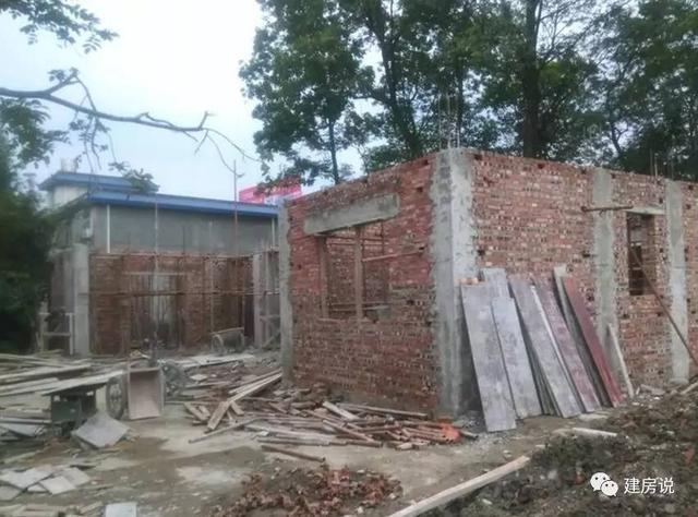 網友40萬自建農村別墅三合院，中式花園引全村沸騰